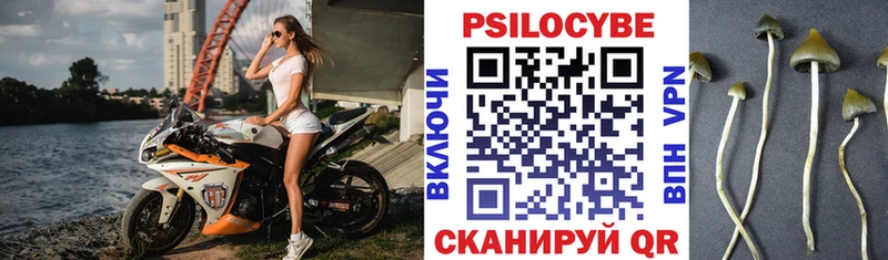 Псилоцибиновые грибы GOLDEN TEACHER  Новотитаровская 